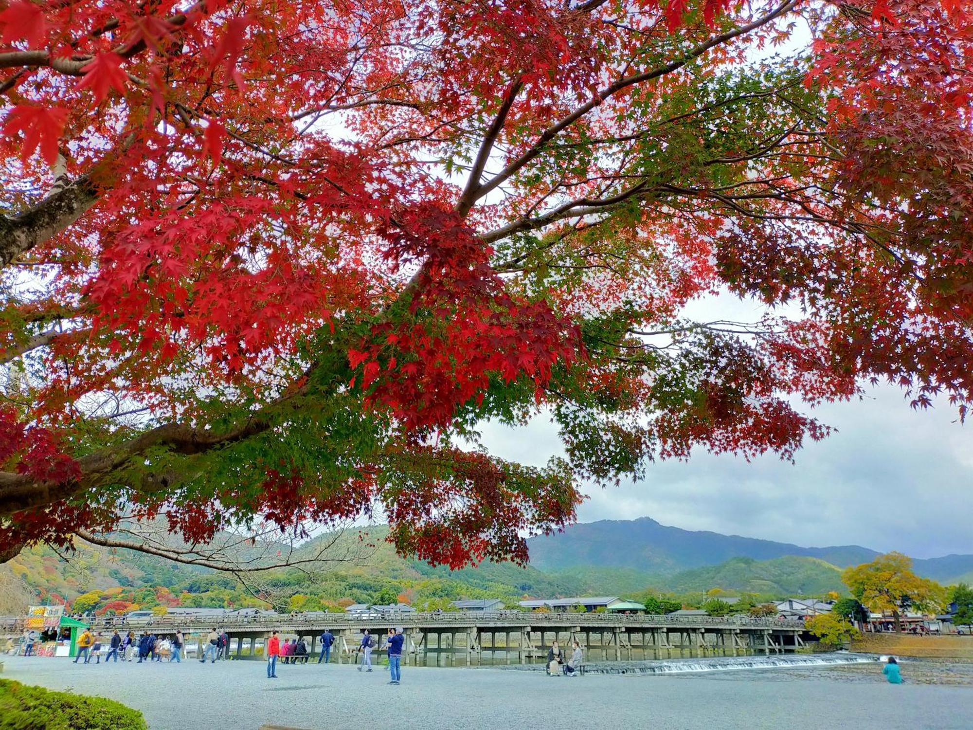 Kadensho, Arashiyama Onsen, Kyoto - Kyoritsu Resort Ngoại thất bức ảnh